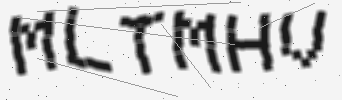 verification image